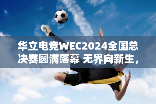 华立电竞WEC2024全国总决赛圆满落幕 无界向新生，打造多元电竞文化盛宴！